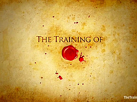 TheTrainingOfO - Skin 5