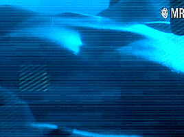 Top 5 Nude Scenes from Tony Scott Movies - Mr Skin