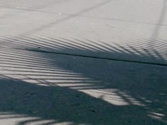 Trasparente pucha
