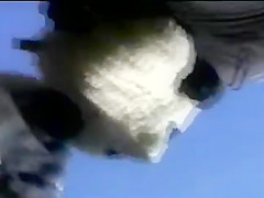 UPSKIRT KING 64