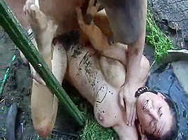 Un coq une poule
