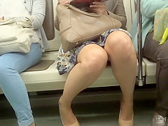 Upskirt in the train