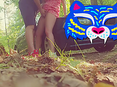 W Lesie Na Aucie