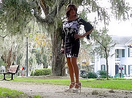 Waltzing Around Town With Julie