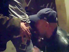 Young euro stud plowed from behind