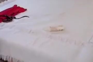 Young goes mature neighbor