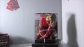 Zip Tied in a Cage