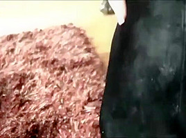 boot slave for charming mistress pov