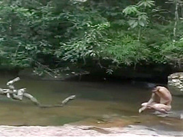 cute girl fucking in rivers bank