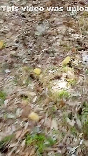 exhibitionist slutwife outdoors blowjob