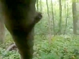 girl Plays Native in the Forest