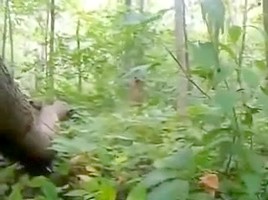 girl Plays Native in the Forest