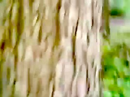 girl Plays Native in the Forest