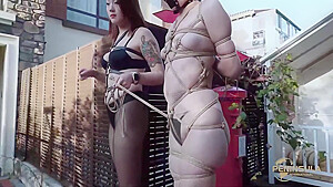 半岛束艺 我的宠物 佟镜