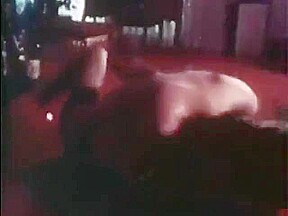 name the vintage wrestling/catfight video comapny or title 65