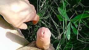 triple c in nature outdoor