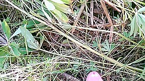 triple c in nature outdoor