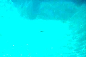 underwater scuba with silver bikini
