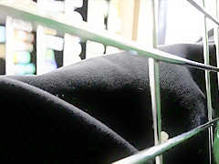 upskirt in industry-3